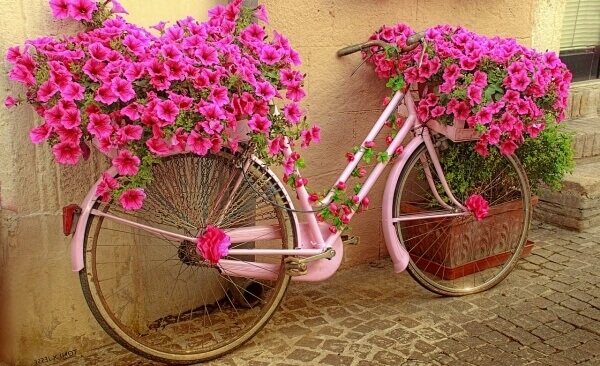 Pink
