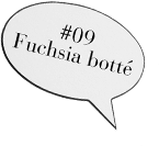 Fuchsia botté