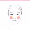 Delice de Poudre. 01 Highlighting Palette
