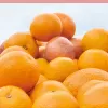 Healthy Mix. 51 Light vanilla