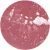 Gloss Effet 3D. 03 Brun rosé academic
